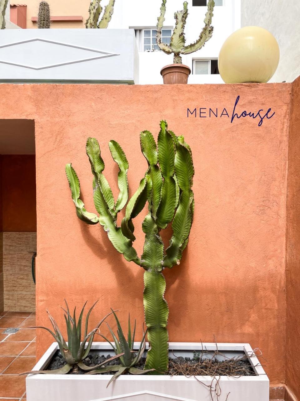 Mena House Villa Коралео Екстериор снимка